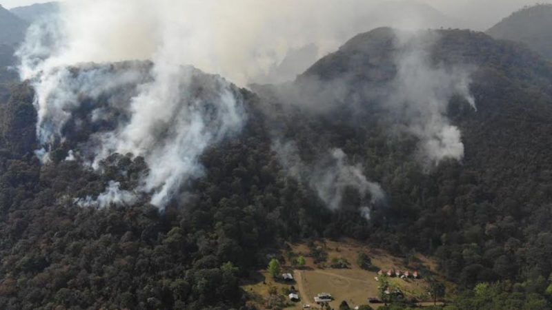 Incendio forestal consume 800 hectáreas en la Biósfera El Cielo, Tamaulipas