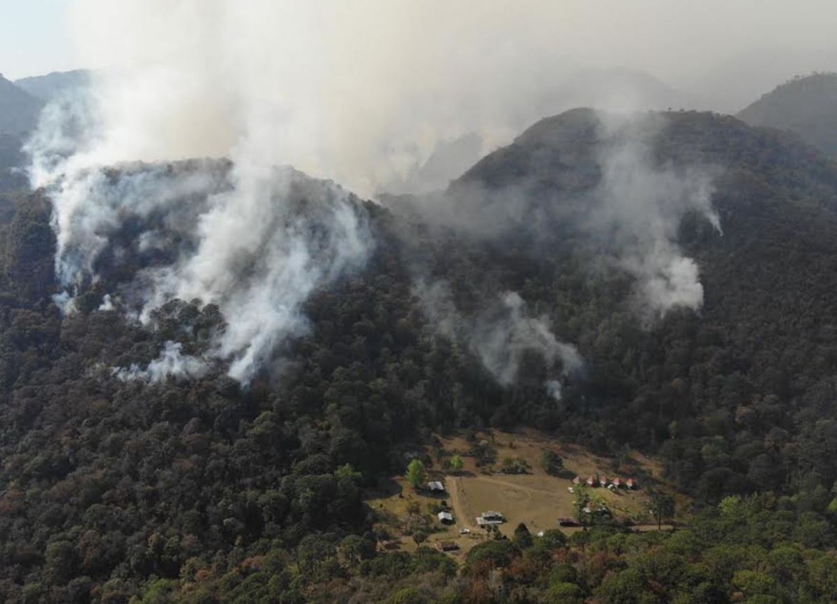 Incendio forestal consume 800 hectáreas en la Biósfera El Cielo, Tamaulipas
