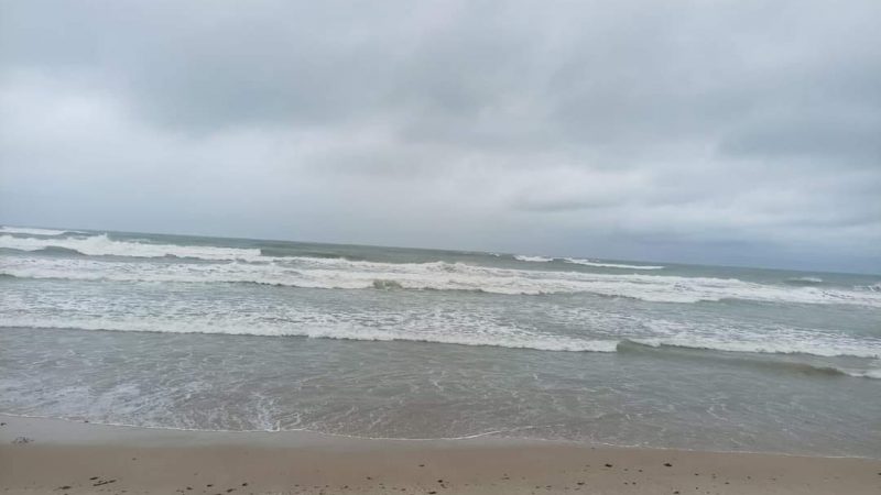 SEDUMA y PAUT intensifican inspecciones en la costa de Tamaulipas tras hallazgo de hidrocarburos en La Pesca