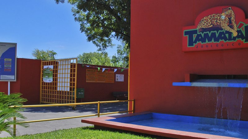 Zoológico Tamatán celebra su 80 aniversario con un festín de actividades