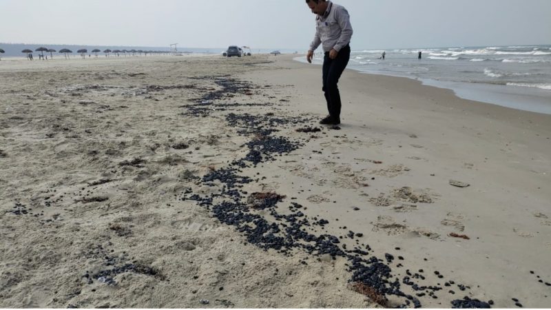 Profepa monitorea hidrocarburo en playas de Tamaulipas