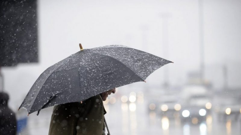 Pronóstico del tiempo para Tamaulipas 24 Junio 2024