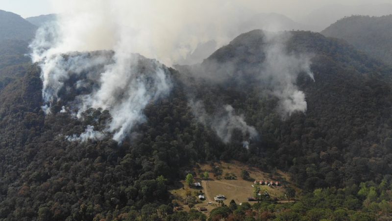 Activan Plan DN-III-E por Incendio Forestal en la Biósfera El Cielo