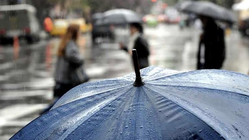 Pronóstico del tiempo para Tamaulipas 12 Junio 2024