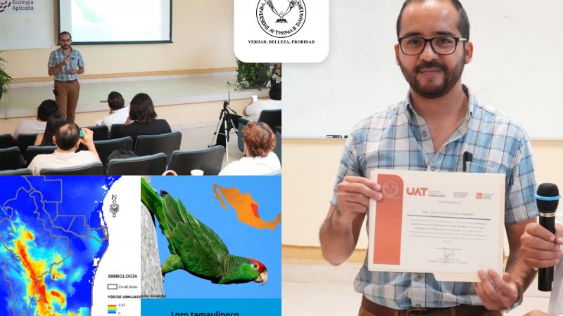 Colabora la UAT en estrategias de conservación del loro tamaulipeco