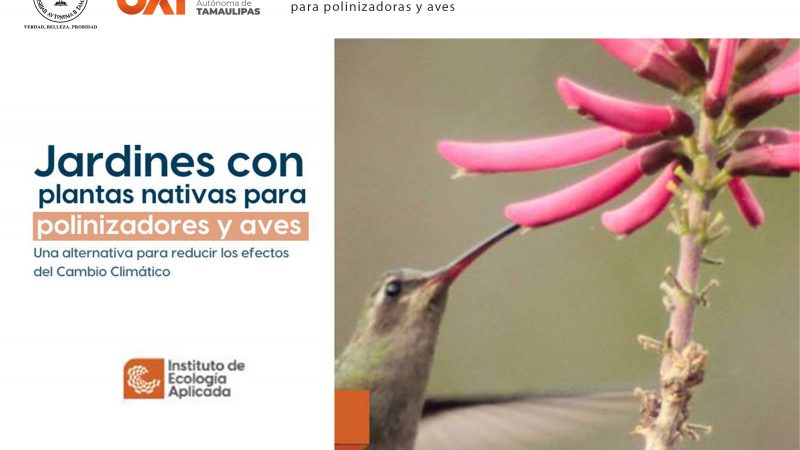 Enseñará la UAT a crear espacios ecológicos para especies polinizadoras