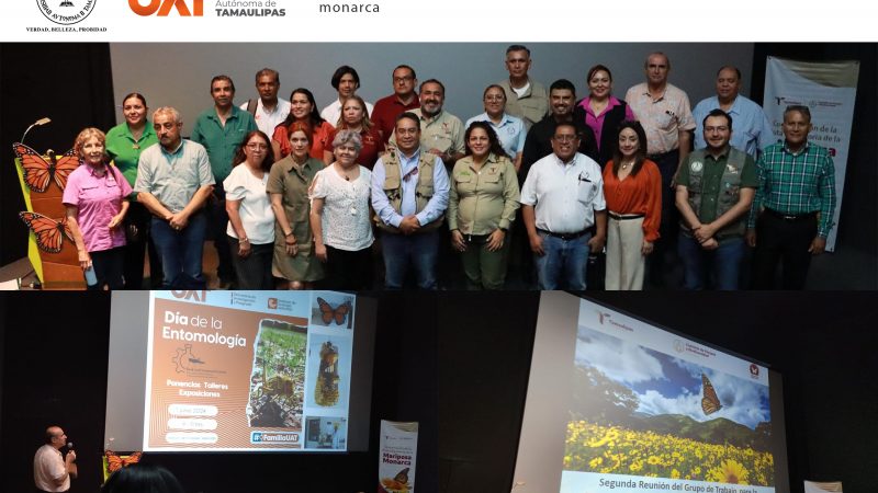 Colabora la UAT en la conservación de la mariposa monarca