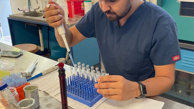 Desarrolla UAT bioinsecticida para combatir plagas que afectan la apicultura