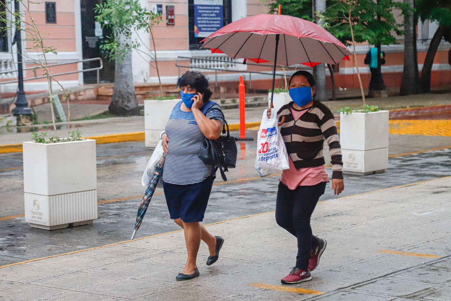 Pronóstico del tiempo para Tamaulipas 29 Julio 2024