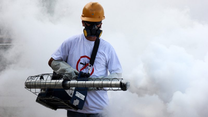 Incremento Alarmante de Dengue en Tamaulipas: Ciudadanos Demandan Acción Inmediata