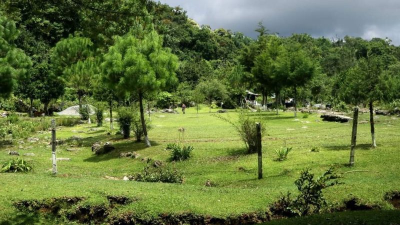 Tamaulipas Refuerza Conservación de Áreas Naturales Protegidas con Nuevas Medidas