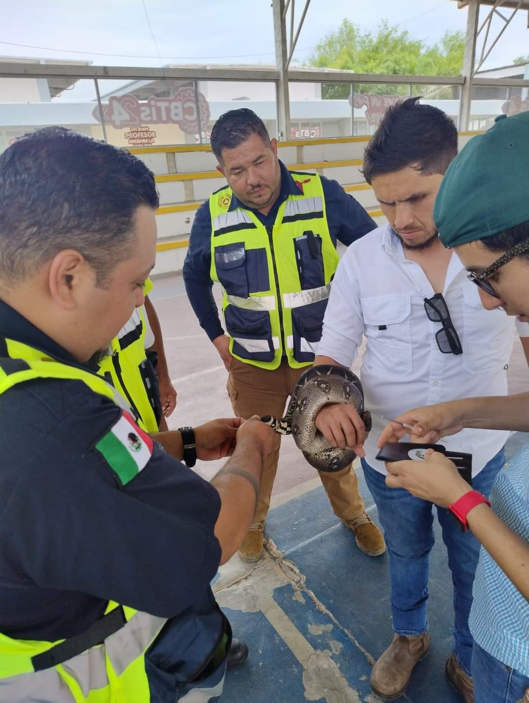 Protección Civil Tamaulipas Capacita a su Personal en Manejo de Reptiles