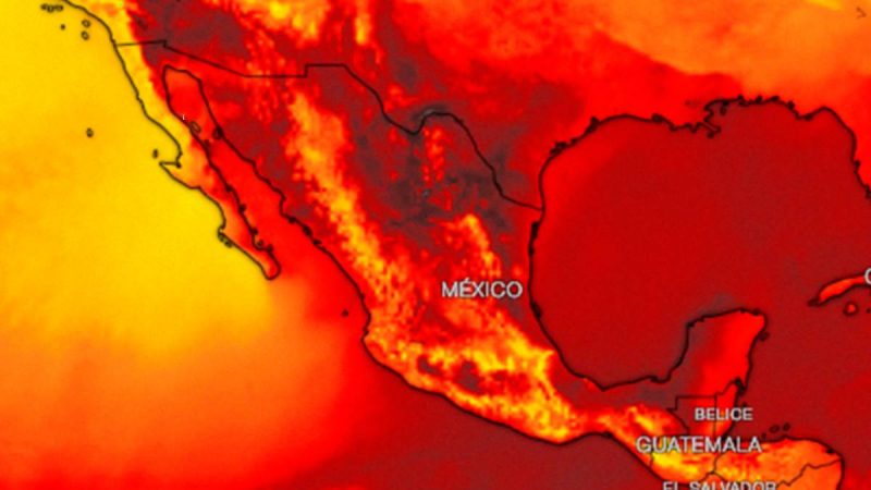 ¿Qué estados sentirán más calor durante la Canícula 2024?