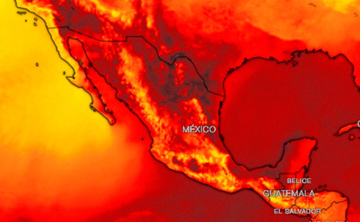 ¿Qué estados sentirán más calor durante la Canícula 2024?