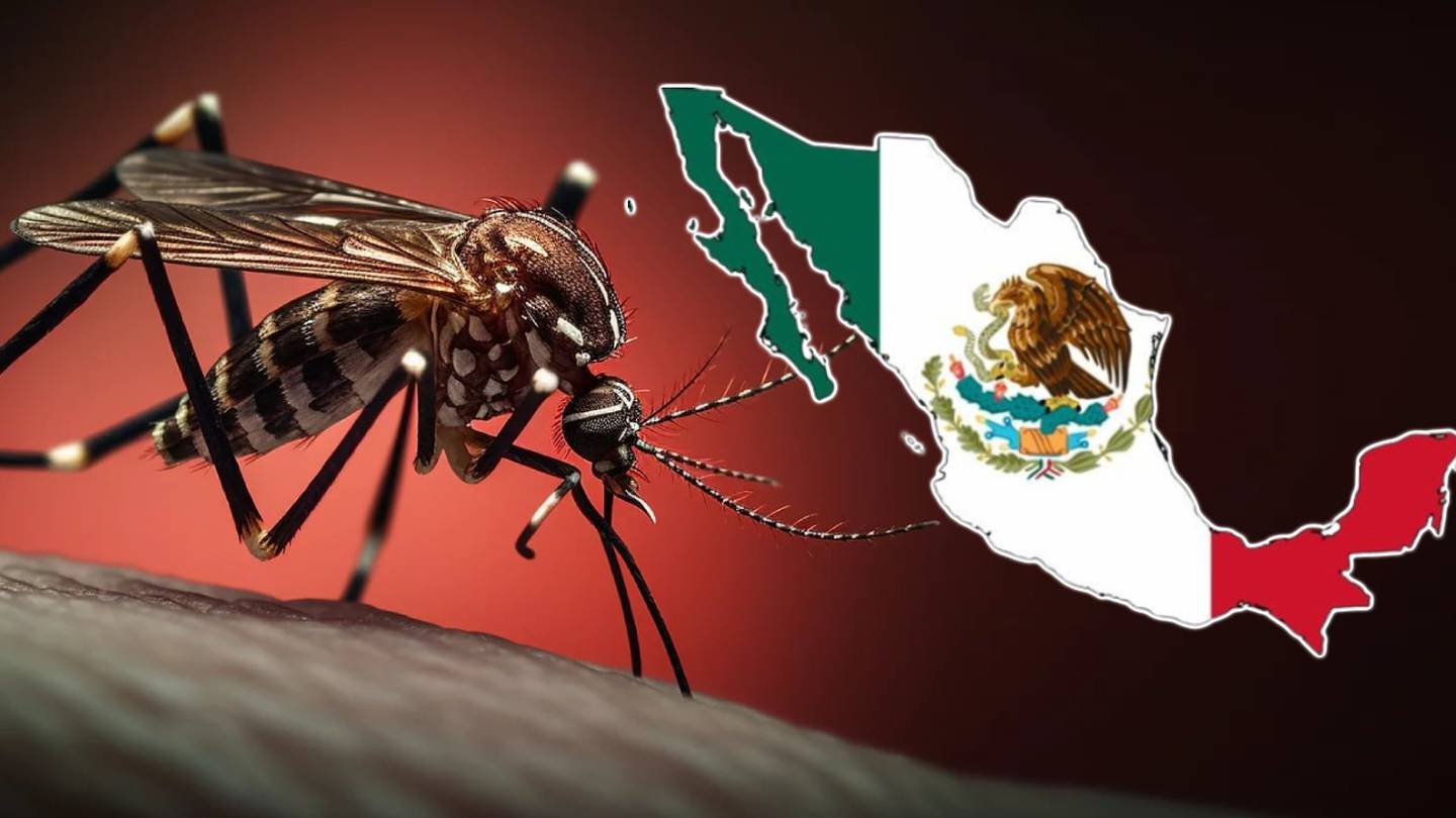 Dengue en México: Casos Aumentan 354% en un Año, Impactando Principalmente a Cinco Estados