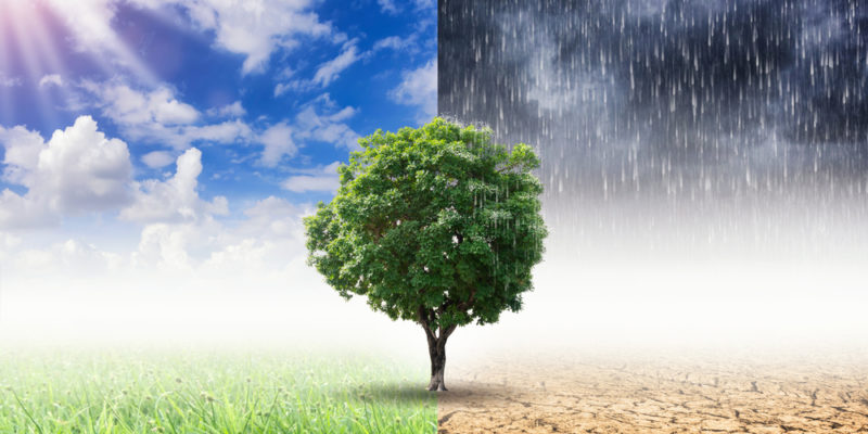 Estudio revela que el cambio climático intensifica la irregularidad de las lluvias a nivel global
