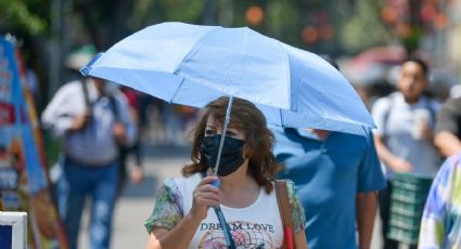 Pronóstico del tiempo para Tamaulipas 20 Julio 2024