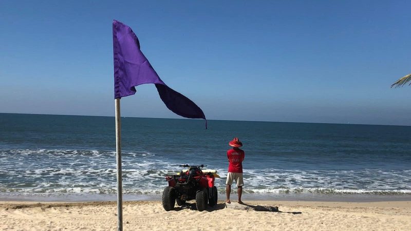 ¿Qué significa la bandera morada en playa y por qué se aplica en Tamaulipas?