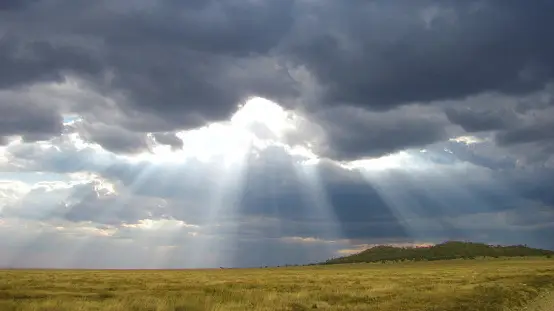 Pronóstico del tiempo para Tamaulipas 6 Julio 2024