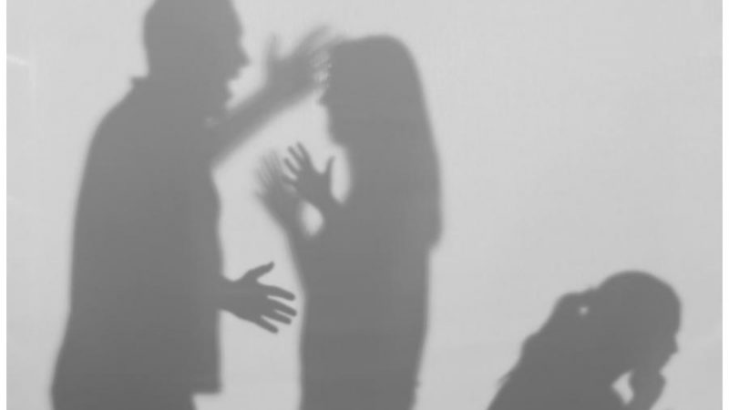 Aumenta la violencia familiar en Tamaulipas: Más de 3,200 casos atendidos en los primeros cinco meses de 2024