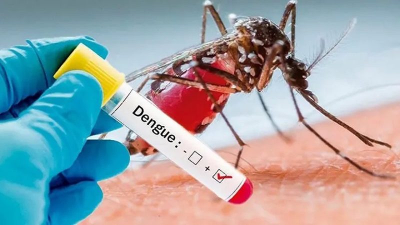 El Dengue: Una Amenaza Silenciosa en Aumento en México