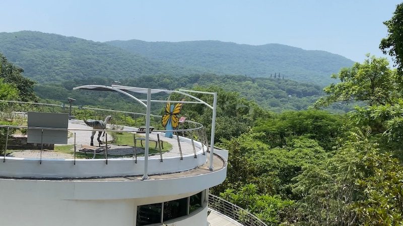 «Actualizan por Primera Vez en 10 Años el Programa de Manejo de la Biósfera El Cielo en Tamaulipas»