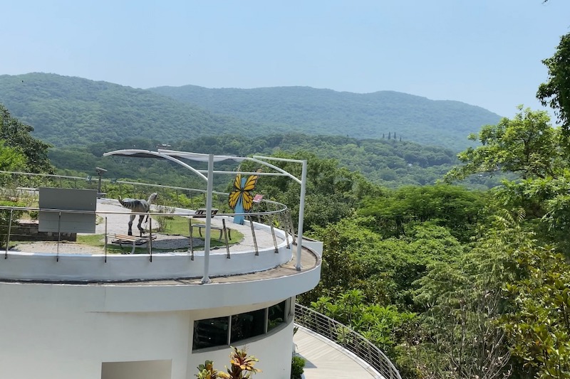 «Actualizan por Primera Vez en 10 Años el Programa de Manejo de la Biósfera El Cielo en Tamaulipas»