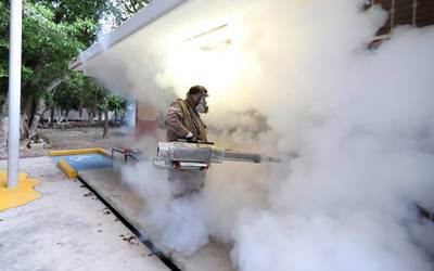Tamaulipas Enfoca Lucha Contra el Dengue en Escuelas para el Inicio del Ciclo Escolar
