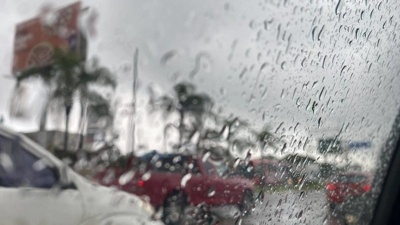 Pronóstico del tiempo para Tamaulipas 12 Agosto 2024