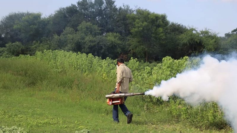 Intensifican la Lucha Contra el Dengue en Victoria