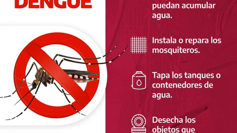 Gobierno de Tamaulipas brinda recomendaciones contra el dengue