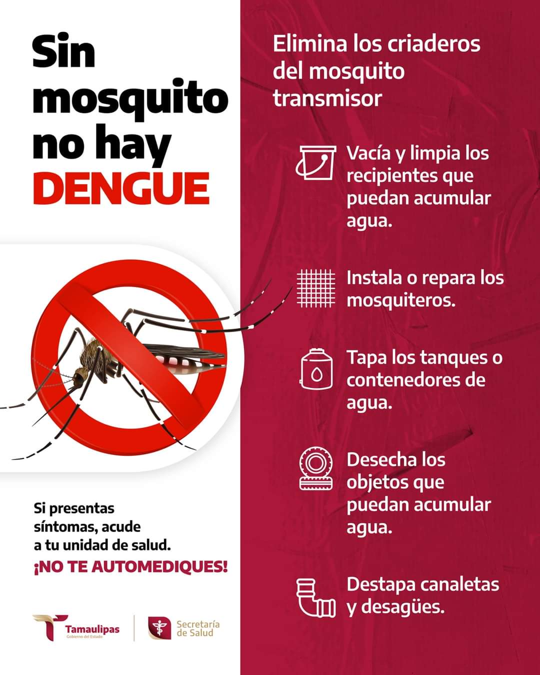 Gobierno de Tamaulipas brinda recomendaciones contra el dengue
