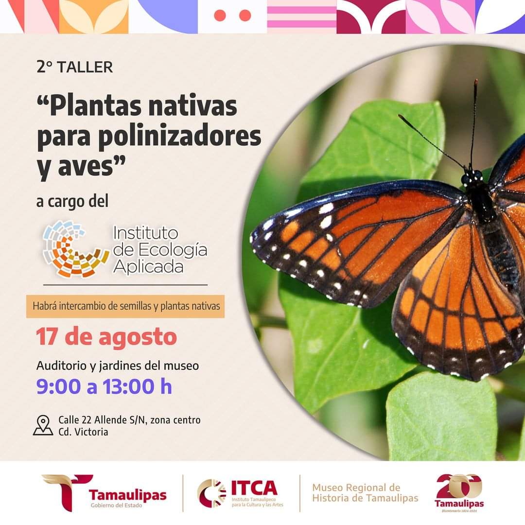 Invitan a Participar en el Segundo Taller de Plantas Nativas para Polinizadores y Aves en Tamaulipas