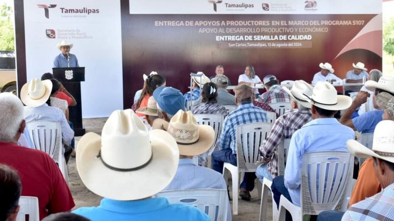 Gobierno de Tamaulipas apoya a productores con entrega de semilla de sorgo y maíz para fortalecer la agricultura