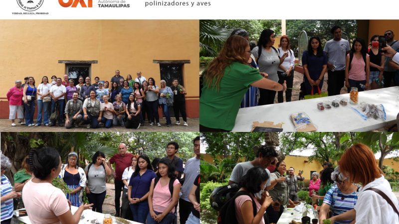 Realiza la UAT el segundo taller de jardines para polinizadores y aves