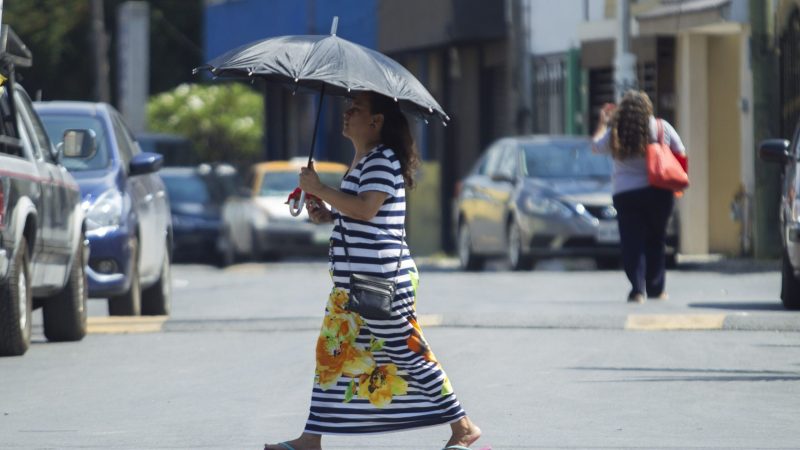 Pronóstico del tiempo para Tamaulipas 13 Agosto 2024