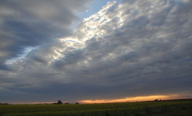 Pronóstico del tiempo para Tamaulipas 6 Agosto 2024