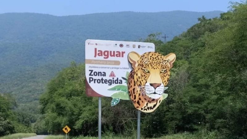 Nueva señalética en Tamaulipas busca proteger la fauna y evitar accidentes viales