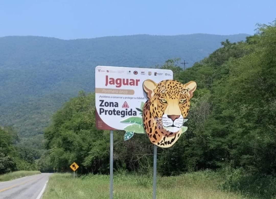 Nueva señalética en Tamaulipas busca proteger la fauna y evitar accidentes viales