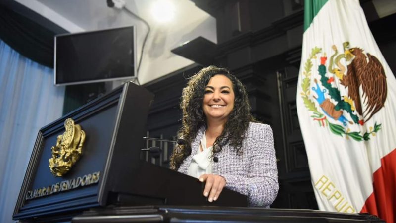Senadora Olga Sosa Propone Reforma Constitucional para Promover la Igualdad de Género en Altos Cargos Públicos
