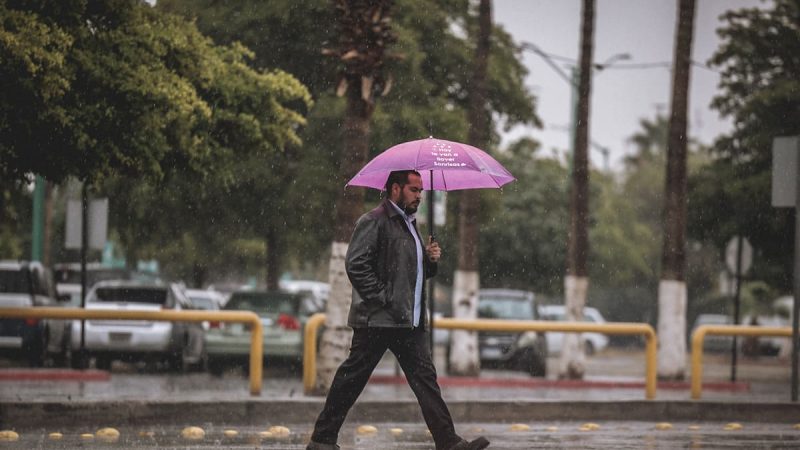Pronóstico del tiempo para Tamaulipas 11 Septiembre 2024