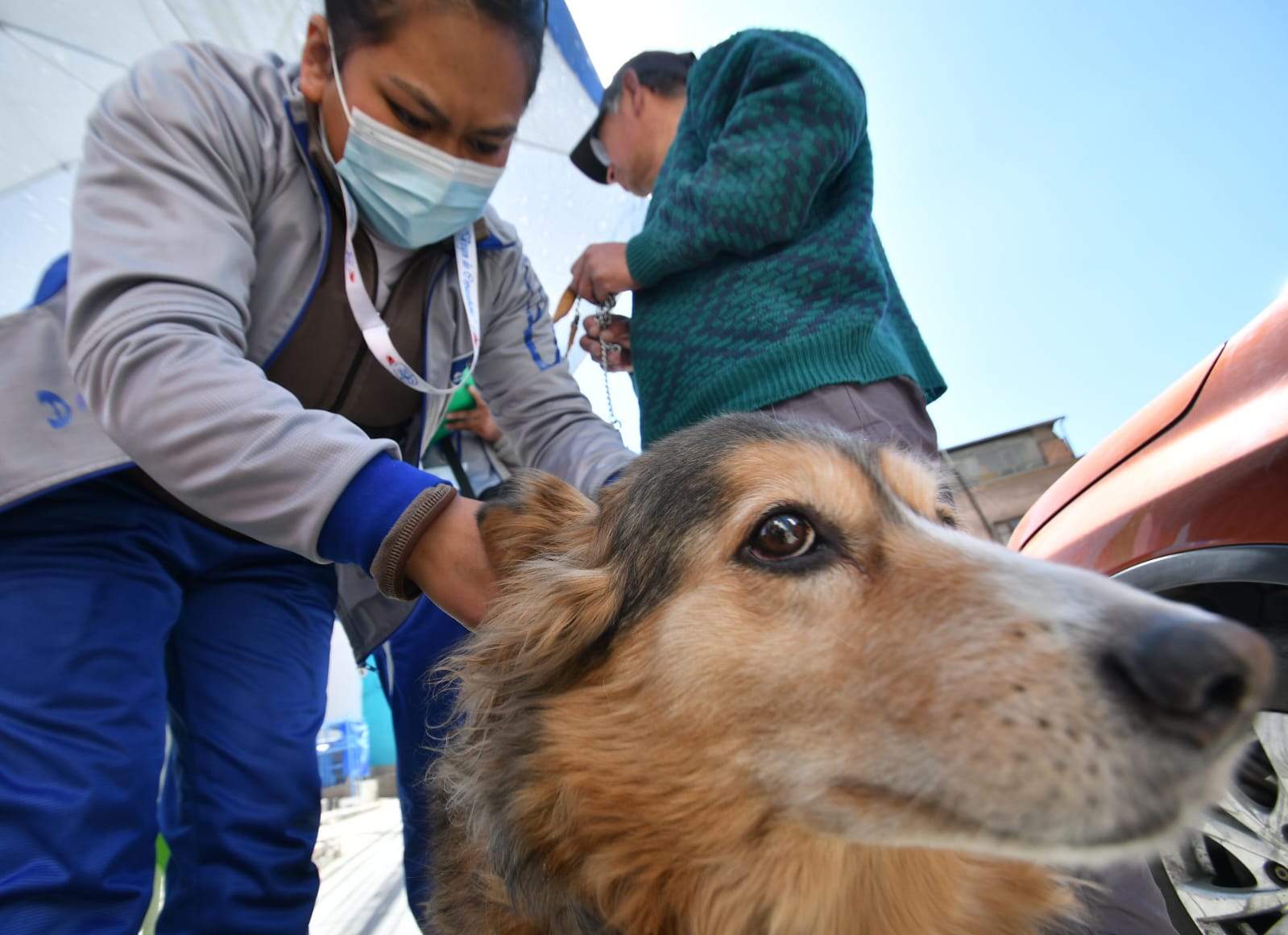 Lanzan Campaña de Vacunación Antirrábica para Mascotas en Tamaulipas: Fechas y Detalles