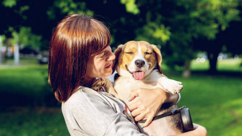Adoptar un perro: Amor incondicional y beneficios que transforman tu vida