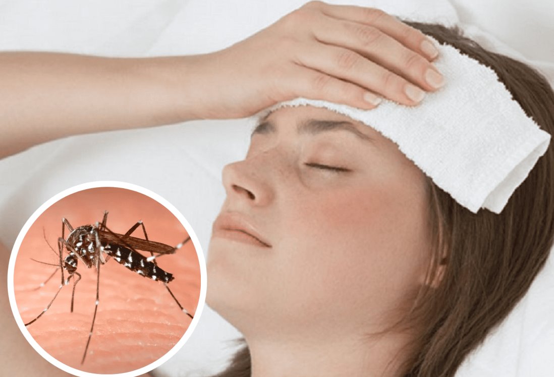 Tres Muertes en Tamaulipas Posiblemente Vinculadas al Dengue: Salud Investiga Causas