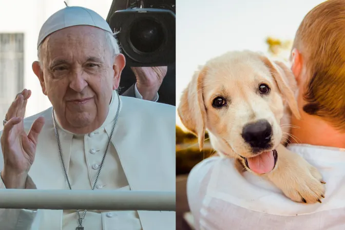 Papa Francisco reitera su crítica a la baja natalidad y cuestiona la tendencia de tener ‘perrhijos’