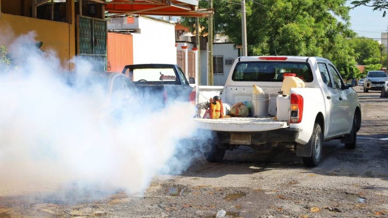 Disminuyen casos de dengue en Tamaulipas, pero autoridades mantienen la alerta por riesgo de contagio