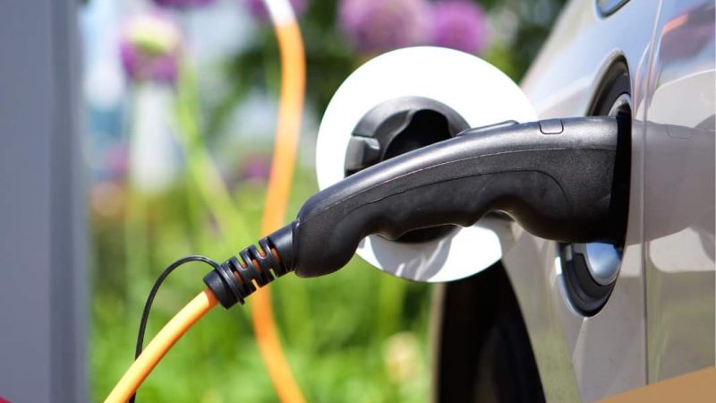 Gobierno de Tamaulipas ofrece descuento del 50% en placas para vehículos híbridos y eléctricos