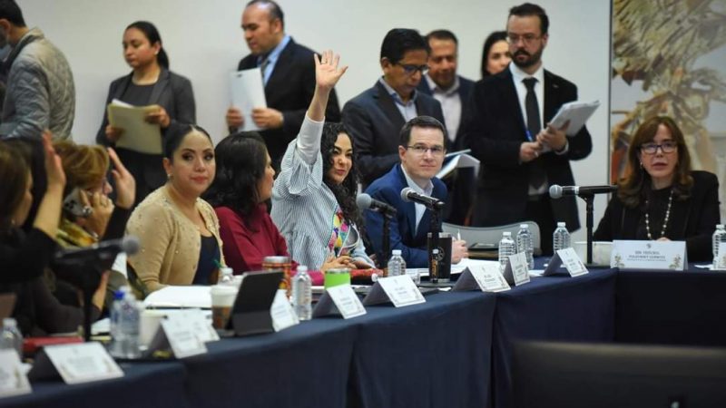 Devolver el carácter público y estratégico a CFE y Pemex y participación ordenada de la inversión privada: Olga Sosa