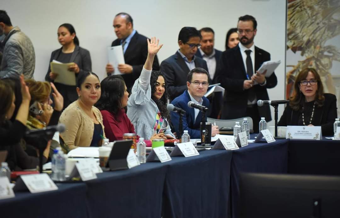 Devolver el carácter público y estratégico a CFE y Pemex y participación ordenada de la inversión privada: Olga Sosa