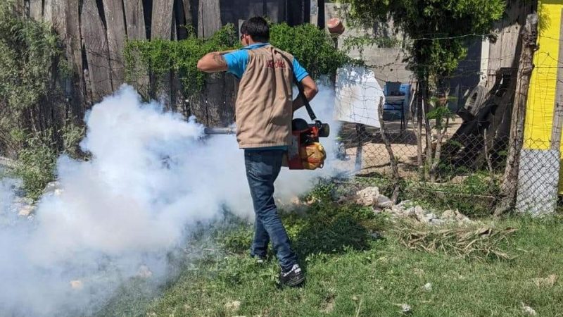 SST Refuerza Acciones Contra el Dengue ante Alerta Epidemiológica en Tamaulipas